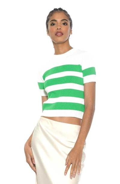 Shop Alexia Admor Pat Stripe Short Sleeve Sweater Top In Ivory/ Green