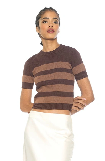 Alexia Admor Pat Stripe Short Sleeve Sweater Top In Brown