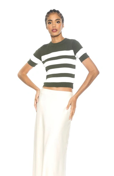 Alexia Admor Pat Stripe Short Sleeve Sweater Top In Sage