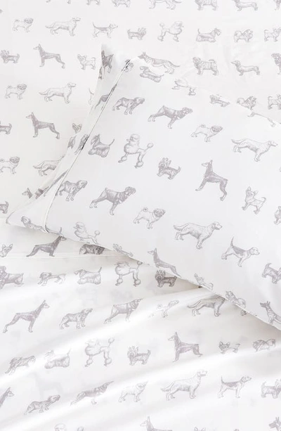 Melange Dog 400 Thread Count Cotton Sheet Set In Grey