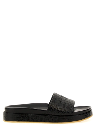 Shop Giuseppe Zanotti Indi Sandals In Black