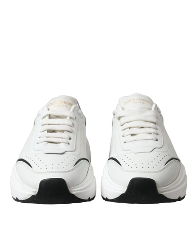 Shop Dolce & Gabbana White Black Low Top Daymaster Sneakers Women's Shoes In Black/white