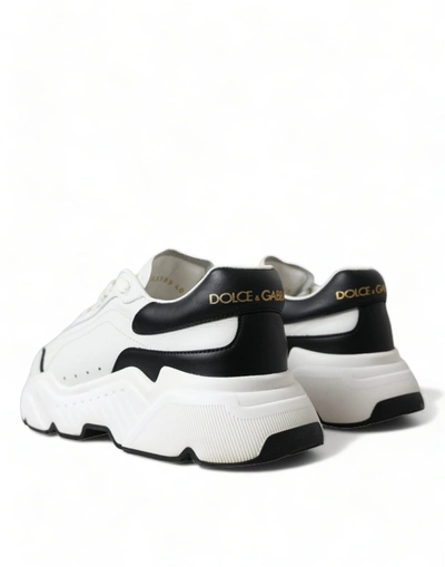 Shop Dolce & Gabbana White Black Low Top Daymaster Sneakers Women's Shoes In Black/white