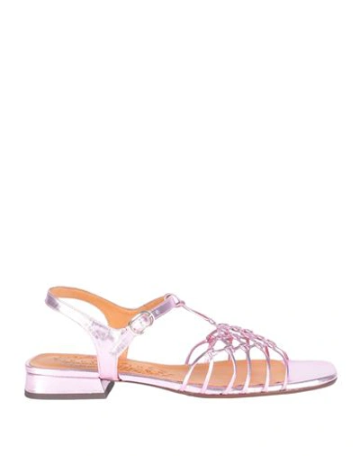 Shop Chie Mihara Woman Sandals Pink Size 8 Leather