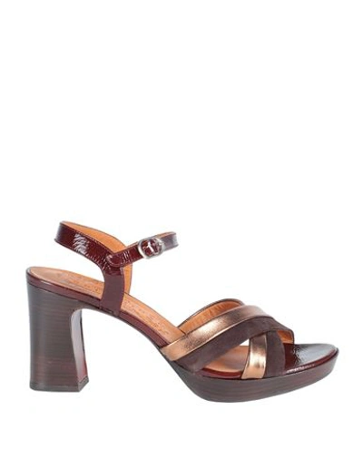 Shop Chie Mihara Woman Sandals Cocoa Size 8 Leather In Brown