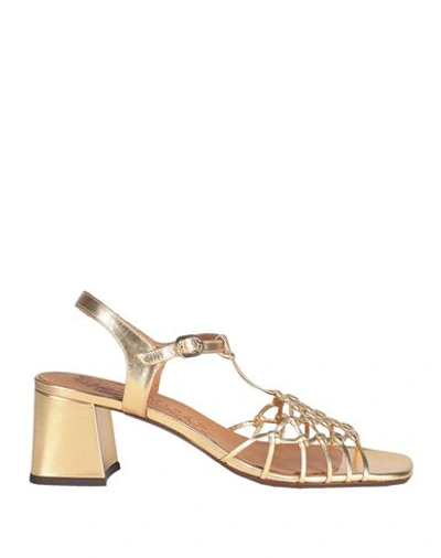 Shop Chie Mihara Woman Sandals Gold Size 8 Leather