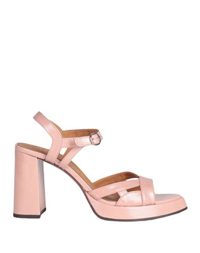 Shop Chie Mihara Woman Sandals Blush Size 8 Leather In Pink