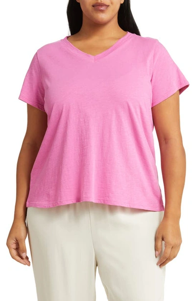 Shop Eileen Fisher V-neck Organic Cotton T-shirt In Tulip