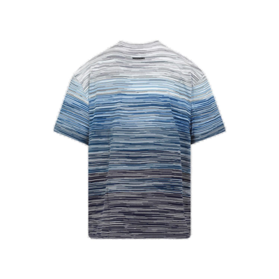 Shop Missoni Short Sleeved Striped Crewneck T-shirt In Blue
