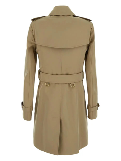 Shop Burberry Classic Trench In Honey