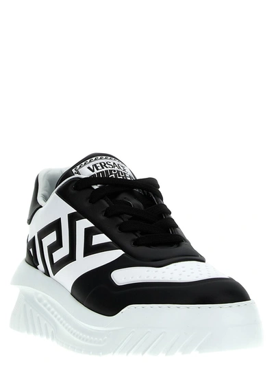 Shop Versace 'odissea Greca' Sneakers In White/black