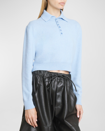 Shop Loewe Cashmere Crop Polo Sweater In Light Blue