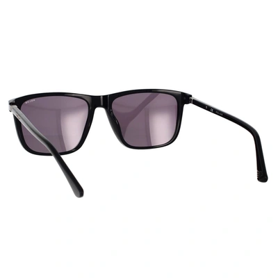Shop Lozza Sunglasses In Black