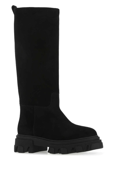 Shop Gia Borghini Boots In Black