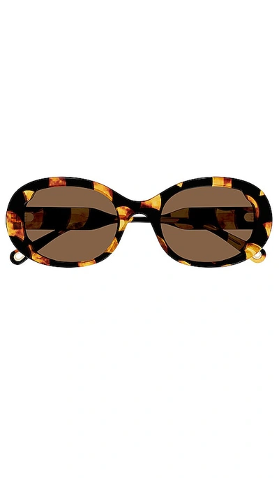 Shop Chloé Lilli Oval Sunglasses In Brown