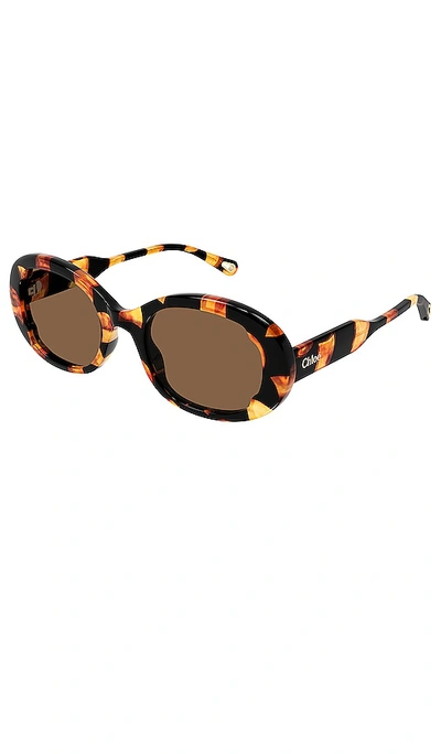 Chloé Lilli Oval In Brown