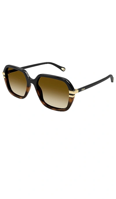 Shop Chloé West Square Sunglasses In Brown