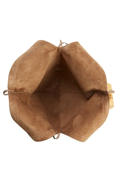 Mansur Gavriel Soft M Leather Hobo Bag In Biscotto