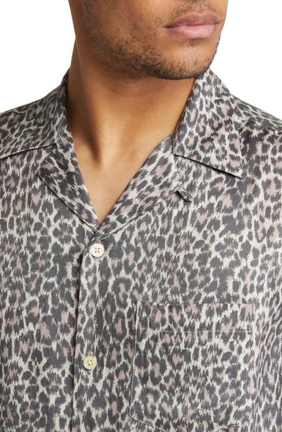 Allsaints Cult Leopard Print Short Sleeve Button-up Camp Shirt In Ecru