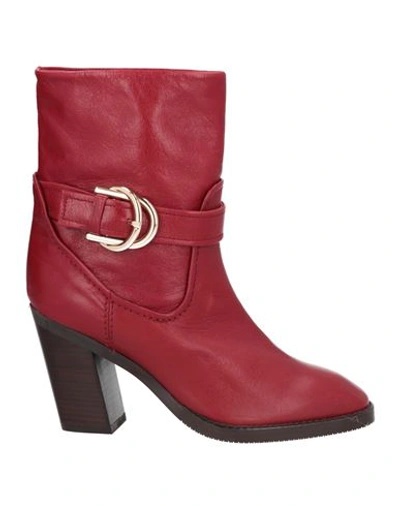 Shop Stuart Weitzman Woman Ankle Boots Burgundy Size 6.5 Soft Leather In Red