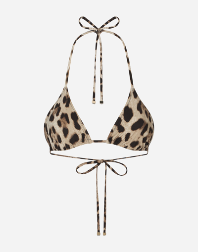 Shop Dolce & Gabbana Triangle Bikini Top With Leopard Print In Animal Print