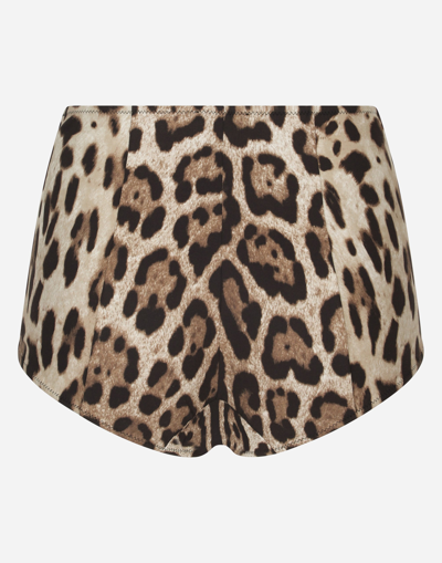 Dolce & Gabbana Slip Guaina In Multicolor