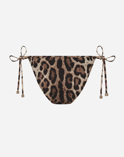 Dolce & Gabbana Leopard Bikini In Multicolor
