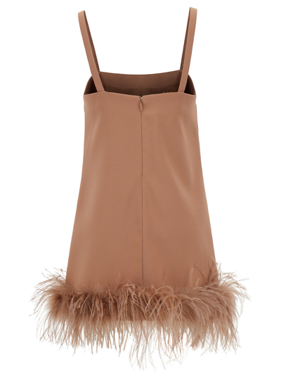 Shop Pinko Mini Brown Dress With Tonal Feathers Trim In Tech Fabric Woman