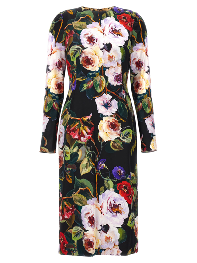 Shop Dolce & Gabbana Roseto Dress In Multicolor