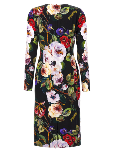 Shop Dolce & Gabbana Roseto Dress In Multicolor