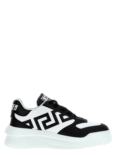 Shop Versace Odissea Greca Sneakers In White/black