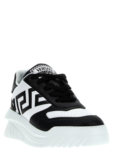 Shop Versace Odissea Greca Sneakers In White/black