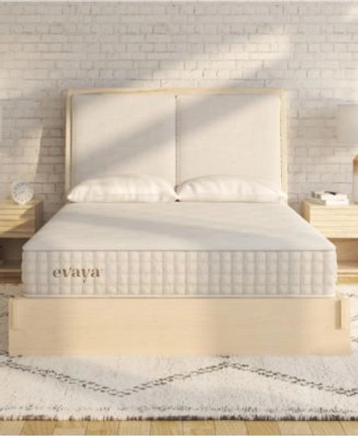 Shop 12park Evaya 11 Cushion Firm Mattress Collection In No Color