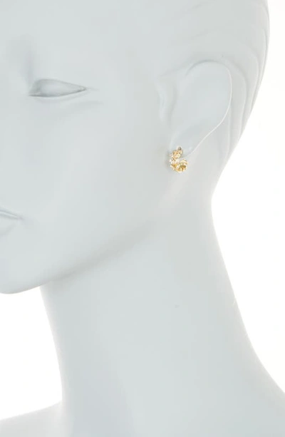 Shop Area Stars Vine Crystal Huggie Hoop Earrings In Gold