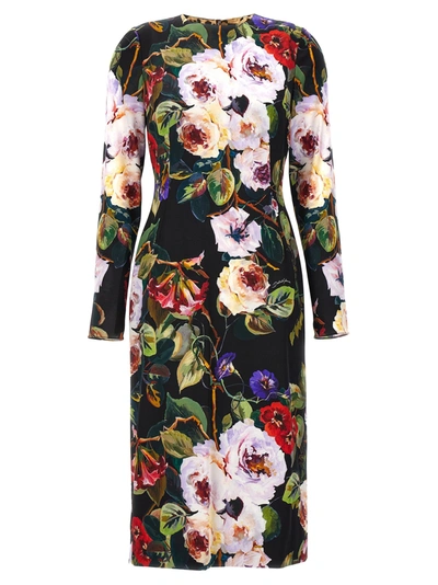 Shop Dolce & Gabbana Roseto Dresses In Multicolor