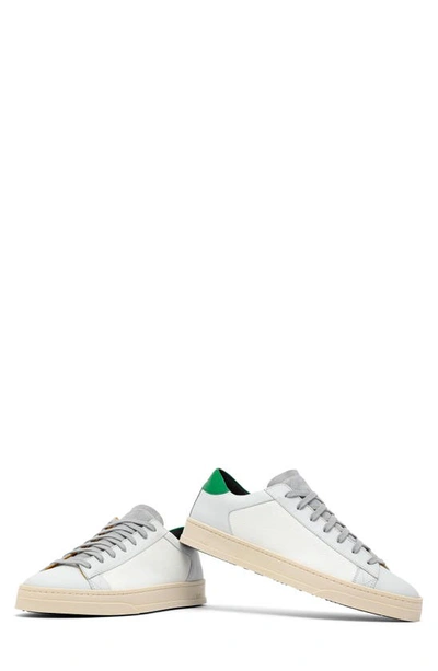 Shop P448 Jack Sneaker In White/ Frozen