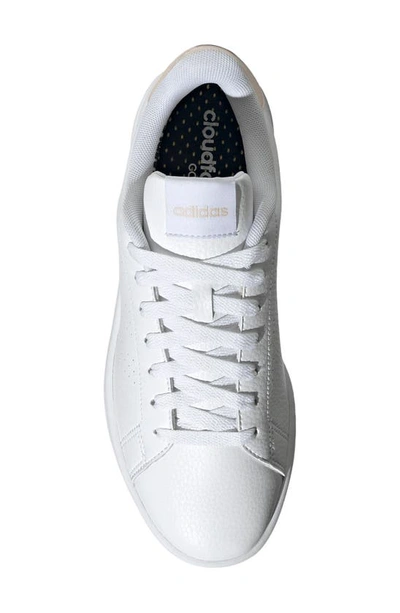 Adidas Originals Advantage Trainer In White/white/putty Mauve