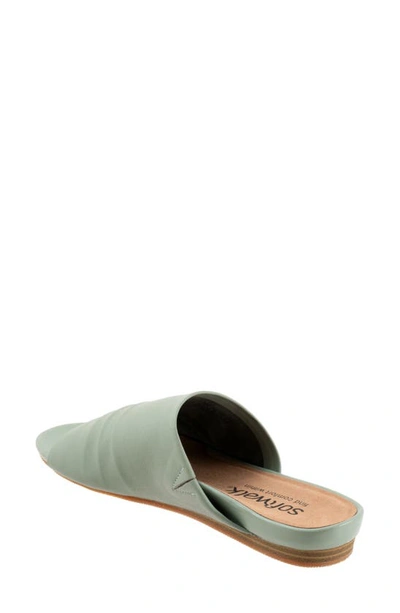 Shop Softwalk ® Camano Slide Sandal In Sage