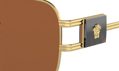 Shop Versace 63mm Oversize Pillow Sunglasses In Dark Brown