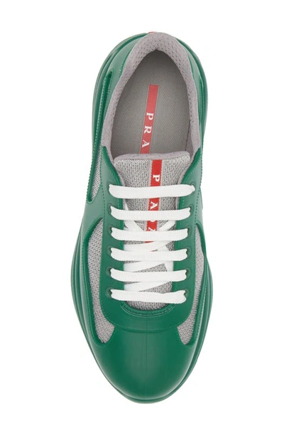 Shop Prada America's Cup Low Top Sneaker In Verde