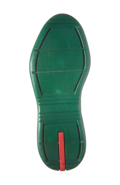 Shop Prada America's Cup Low Top Sneaker In Verde