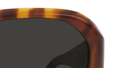 Raen Zouk Gradient Polarized Square Sunglasses In Oso Tortoise/ Monsoon