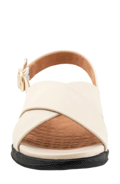 Shop Softwalk ® Tillman Slingback Sandal In Bone