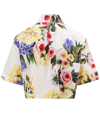 Shop Dolce & Gabbana Crop Fit Cotton Shirt With Giardino Print