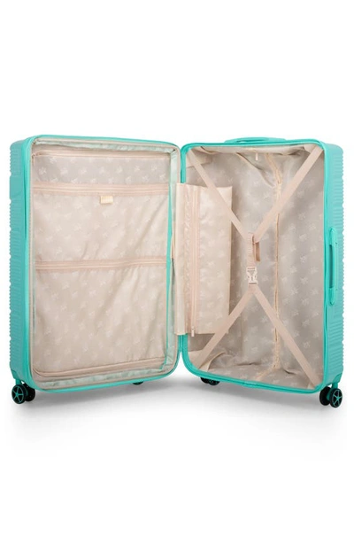 Shop Vacay Spotlight 20-inch Hardside Spinner Carry-on In Cockatoo
