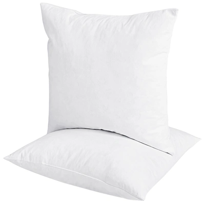 Shop Puredown Peace Nest 2pcs 5% Grey Duck Down Feather Pillow 18 X 18"