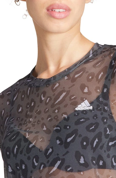Shop Adidas Originals Leopard Long Sleeve Mesh T-shirt In Grey/ Carbon/ Black
