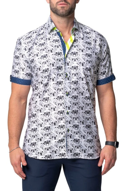 Shop Maceoo Galileo Bulldog White Contemporary Fit Short Sleeve Button-up Shirt