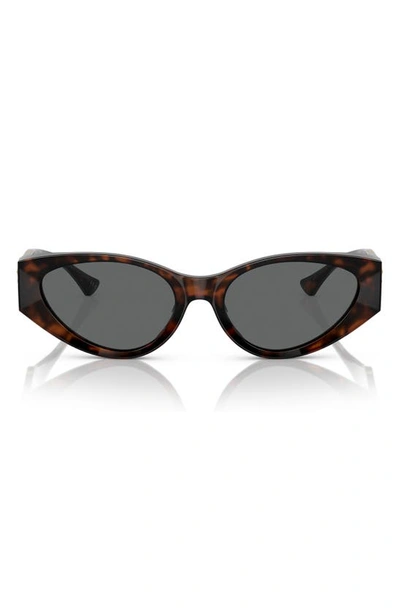 Shop Versace 55mm Cat Eye Sunglasses In Havana