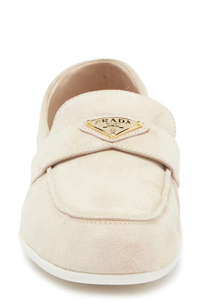 Shop Prada Logo Suede Loafer In Beige